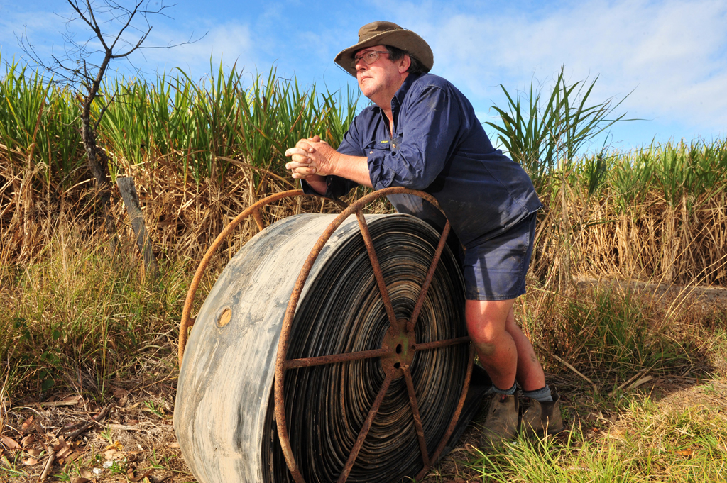 NEED RAIN: Bundaberg Canegrowers chairman Allan Dingle hopes that rain is on the way.
Photo: Max Fleet / NewsMail