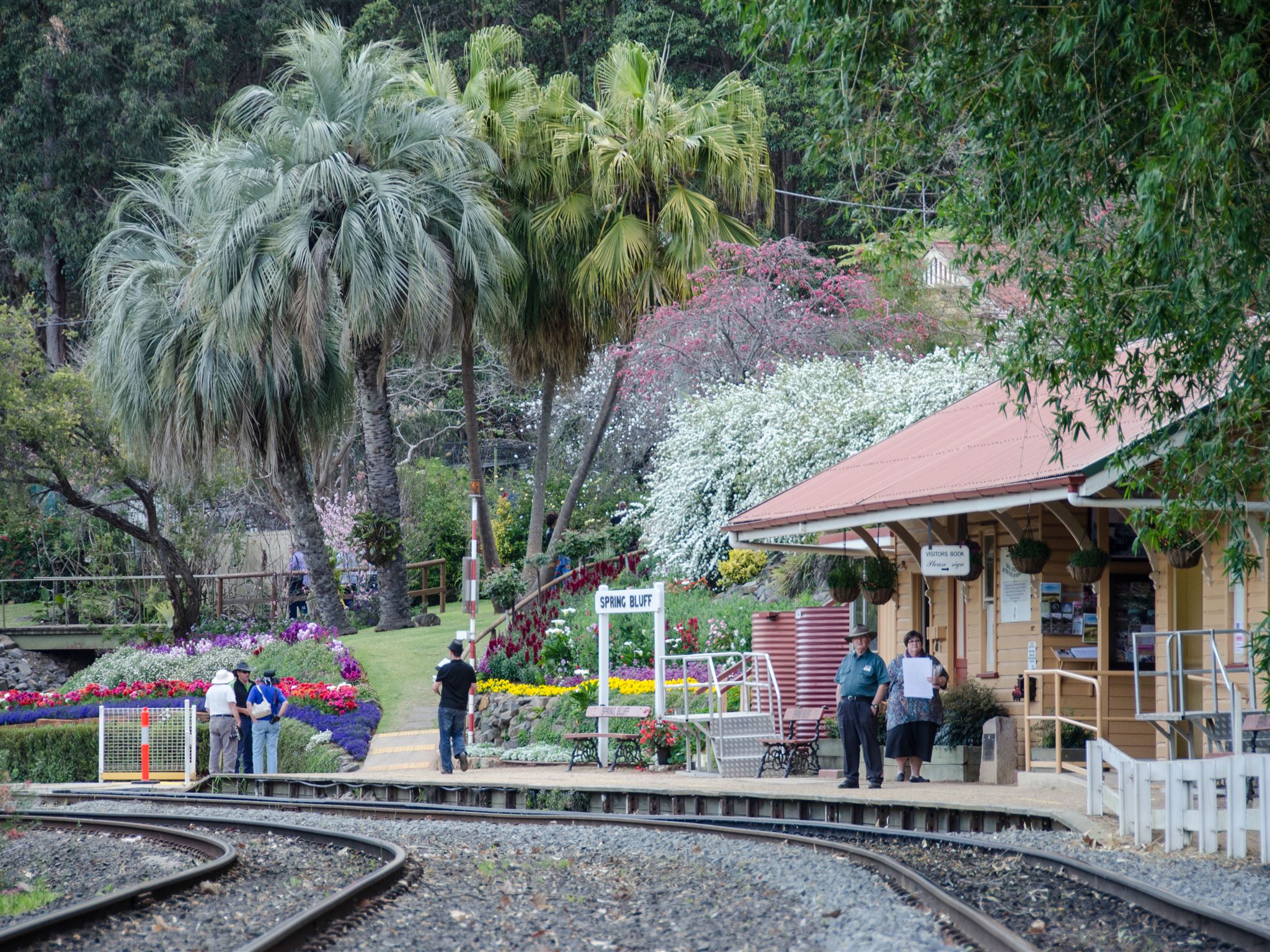 Toowoomba Carnival of Flowers - Train rides to Spring Bluff Toowoomba Carnival of Flowers - Train rides to Spring Bluff