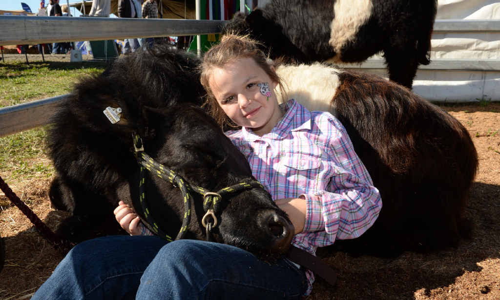 SHE’S MY GIRL: Kate Hepburn of McKees Hill with her Belted Galloway, Jade, at Primex. SHE’S MY GIRL: Kate Hepburn of McKees Hill with her Belted Galloway, Jade, at Primex.