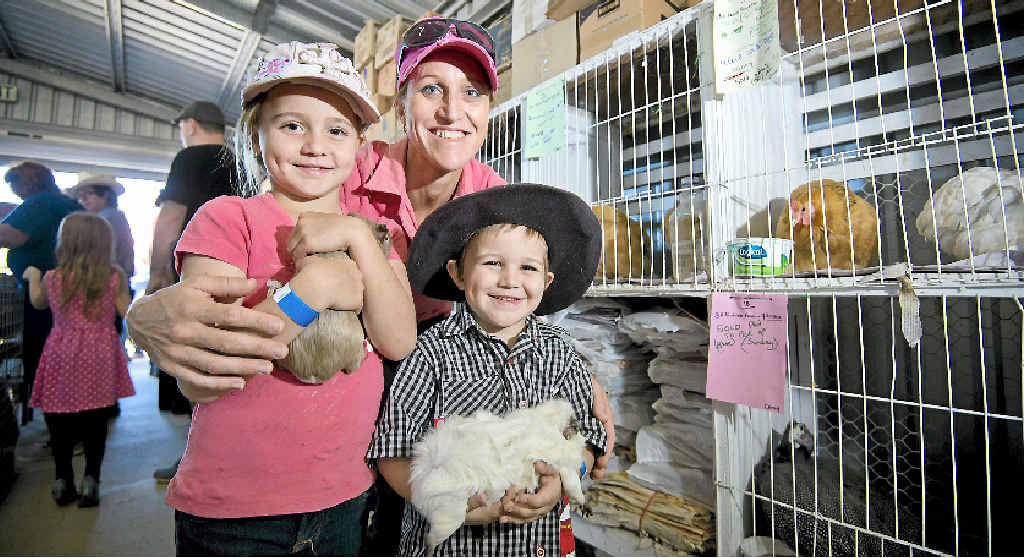 Connor Taylor and children Casey, 7, and Joe, 4, get to take home two new guinea pigs from the show. Connor Taylor and children Casey, 7, and Joe, 4, get to take home two new guinea pigs from the show.