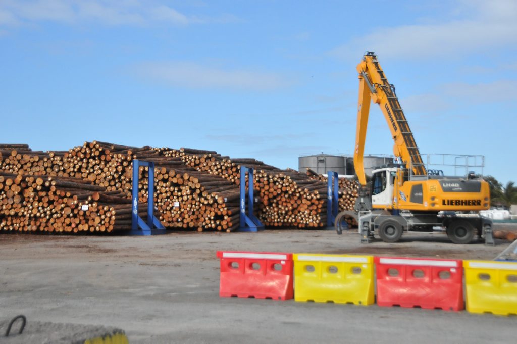 Thousands of logs sit on Auckland Point wharf ready to be shipped to China. Thousands of logs sit on Auckland Point wharf ready to be shipped to China.