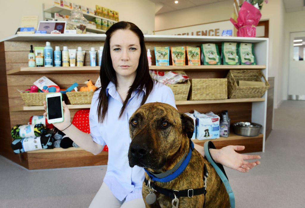 OFFLINE: Greater Springfield Veterinary Hospital practice manager Dr Rachel Ball questions why it has been difficult to have phone and internet connections set up at her new practice. OFFLINE: Greater Springfield Veterinary Hospital practice manager Dr Rachel Ball questions why it has been difficult to have phone and internet connections set up at her new practice.