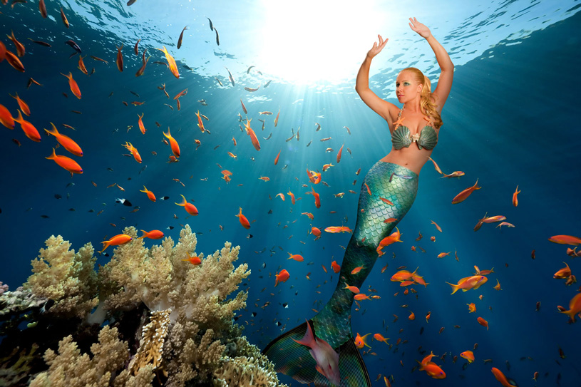 Melissa Mermaid has been spotted off the Capricorn Coast, headed towards the Fitzroy River