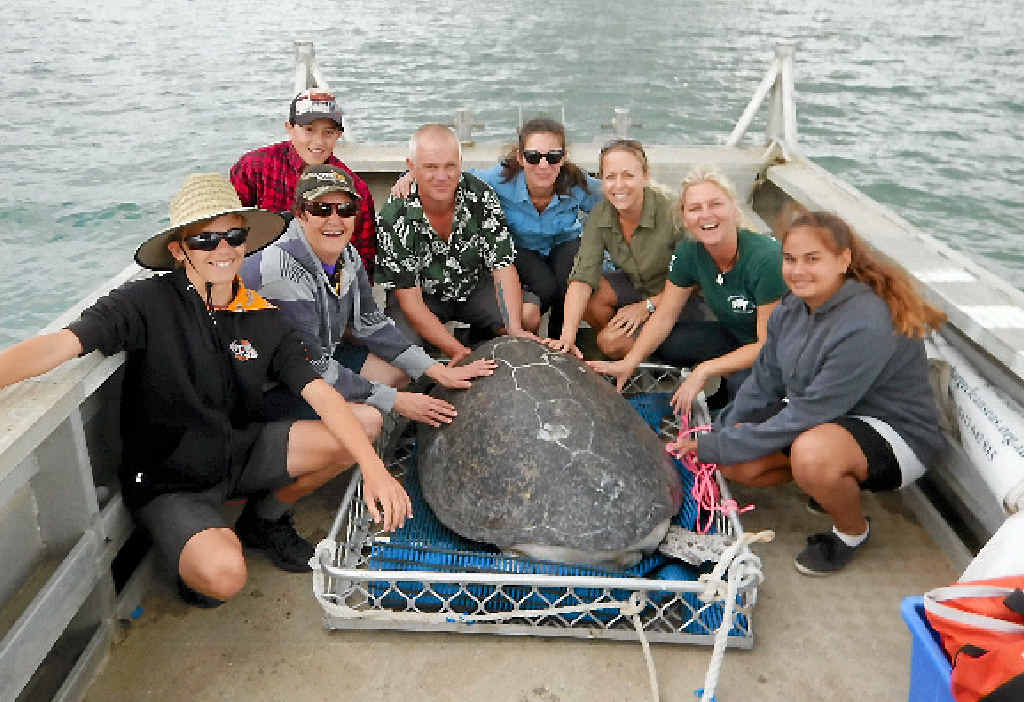 HAPPY TURTLE: Zac Maynard, Cathy Clegg, Ethan Clegg, Alf Vary, Stefanie Wabnik, Olivia Brodhurst, Libby Edge and Hope Byers at Ella’s release over the weekend. HAPPY TURTLE: Zac Maynard, Cathy Clegg, Ethan Clegg, Alf Vary, Stefanie Wabnik, Olivia Brodhurst, Libby Edge and Hope Byers at Ella’s release over the weekend.