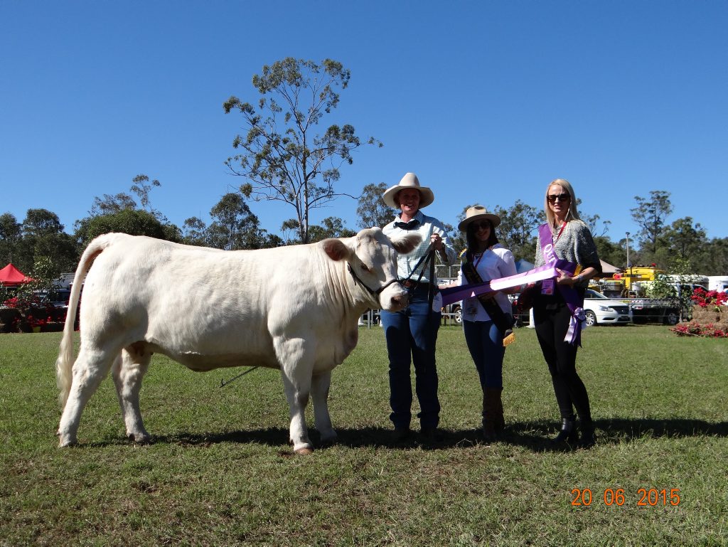 Tania Hartwig with  Champion Cow and Supreme Champion Granville Polly Girl, and the show queens.