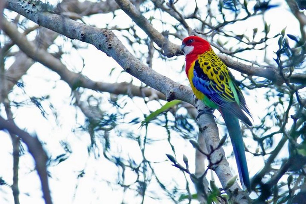 WE had a clear favourite in yesterday's Photo of the Day poll. This photo, snapped by Di Lymbury took 75% of the vote in yesterday's poll to become today's Photo of the Day. 