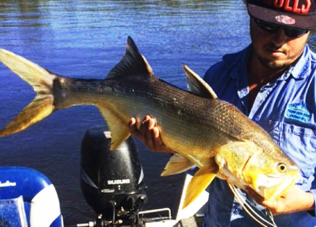 Ash Colley with a salmon caught up Corio Bay. Ash Colley with a salmon caught up Corio Bay.