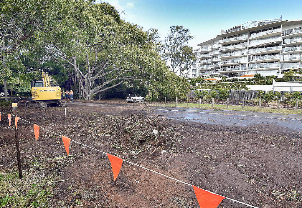 OOPS: A tree may have been “mistakenly removed” during road works at Pialba. OOPS: A tree may have been “mistakenly removed” during road works at Pialba.