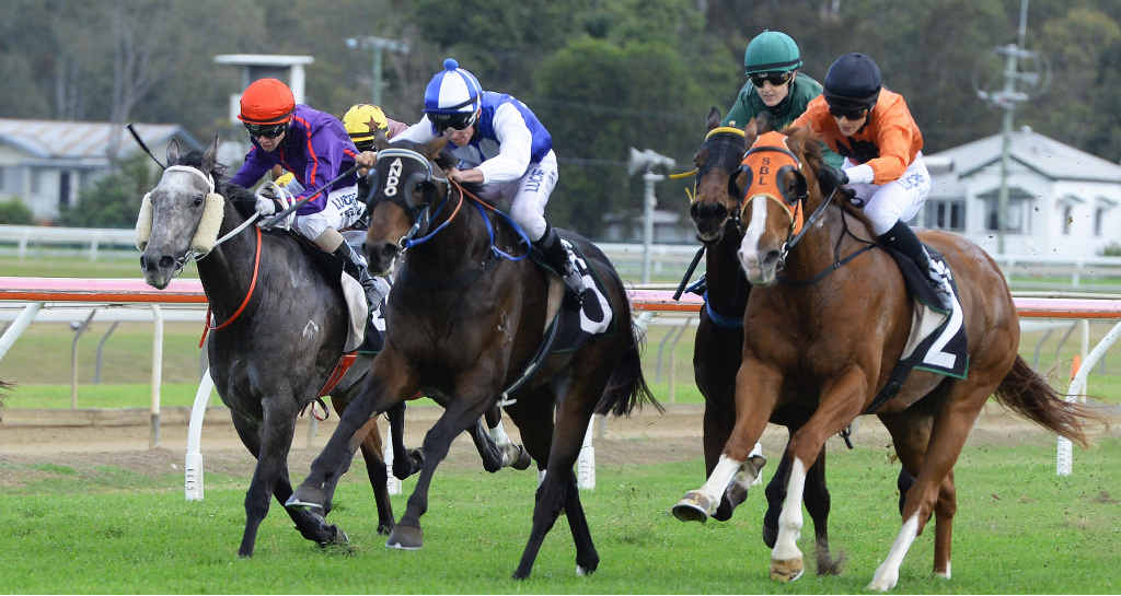 IN THE CLEAR: Moonlight Dancer (blue and white) leads in the straight before winning race three at Bundamba on Friday. IN THE CLEAR: Moonlight Dancer (blue and white) leads in the straight before winning race three at Bundamba on Friday.