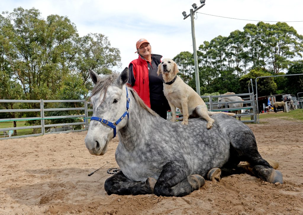 Karen Foran with Kamilaroi the horse and Breeze the dog. Photo: Blainey Woodham / Tweed Daily News Karen Foran with Kamilaroi the horse and Breeze the dog. Photo: Blainey Woodham / Tweed Daily News