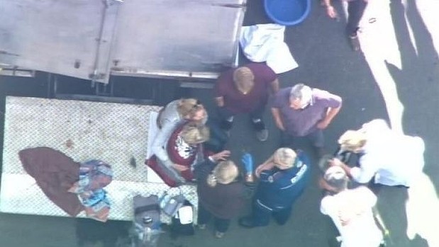 A woman in her 50s is treated after being bitten by a monkey at Movie World studios, where the Pirates of the Caribbean movie is being filmed. Photo: Seven News
A woman in her 50s is treated after being bitten by a monkey at Movie World studios, where the Pirates of the Caribbean movie is being filmed. Photo: Seven News