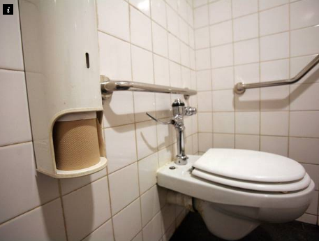 It takes a while to get comfortable with a new loo. It takes a while to get comfortable with a new loo.