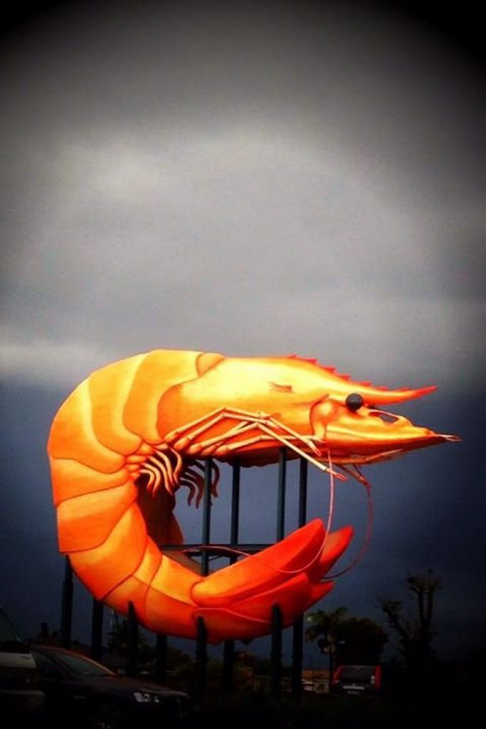 Angela Sten captured this photo of the Big Prawn