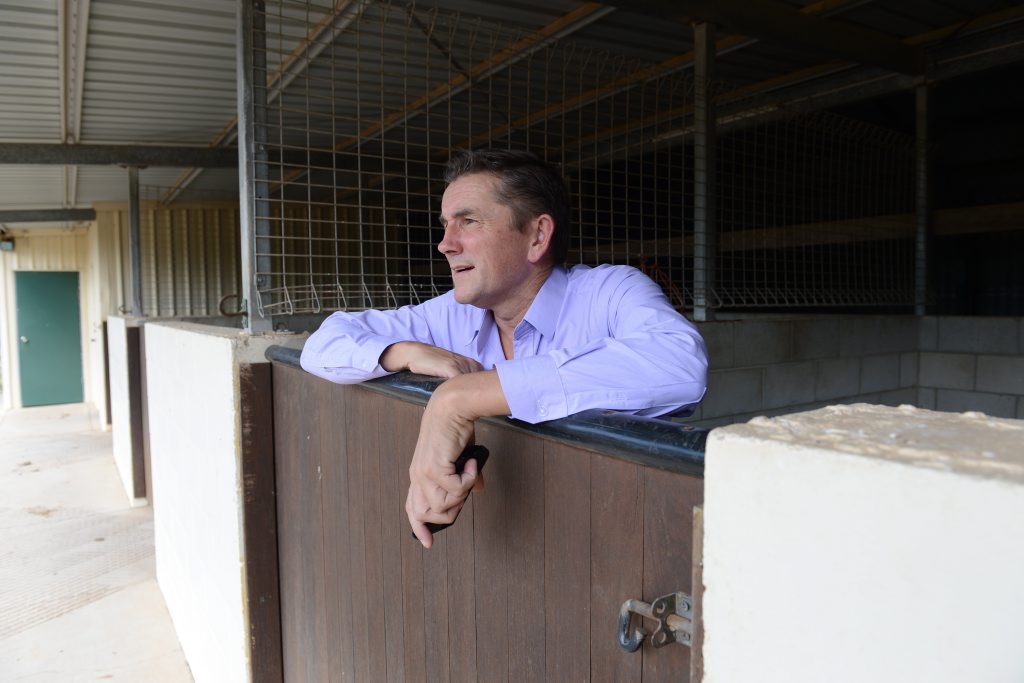 SEEKING SOLUTIONS: Allan Murnane ponders the challenges of building a quarter horse racing complex at Bollier Park. SEEKING SOLUTIONS: Allan Murnane ponders the challenges of building a quarter horse racing complex at Bollier Park.