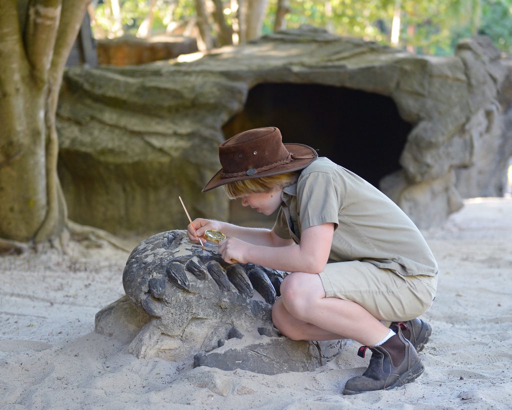 Australia Zoo's Robert Irwin, 11, loves fossils and is a budding palaeontolgoist. Australia Zoo's Robert Irwin, 11, loves fossils and is a budding palaeontolgoist.