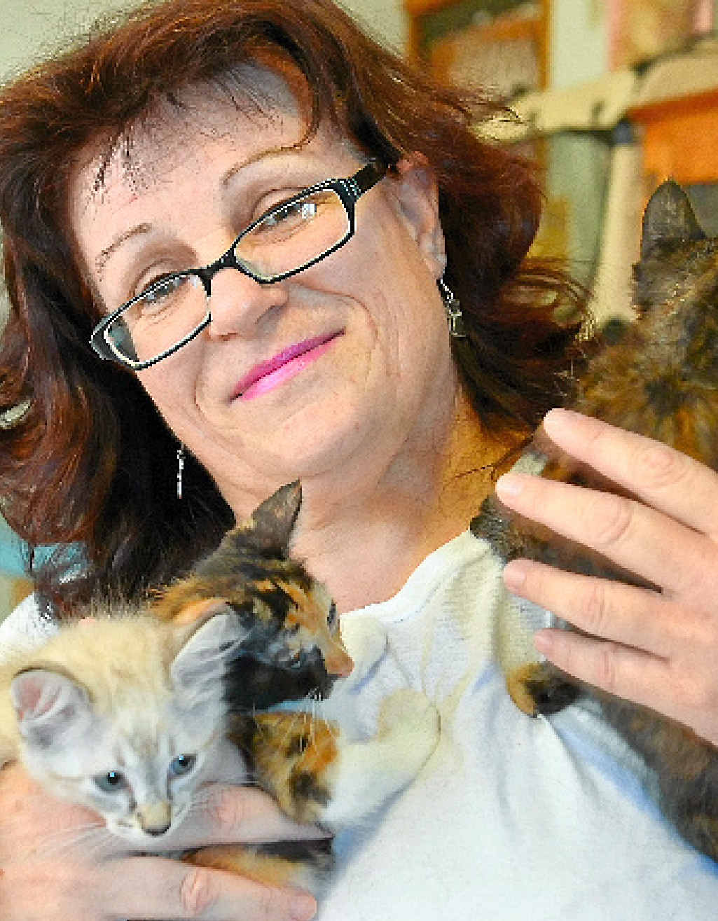 CAT CARE: Anita Coad needs to adopt out her cats.