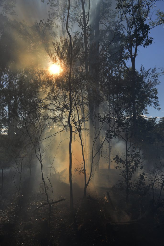 A father of two who has previously been jailed for arson is set to be locked up again after for lighting vegetation during the last horror fire season. A father of two who has previously been jailed for arson is set to be locked up again after for lighting vegetation during the last horror fire season.