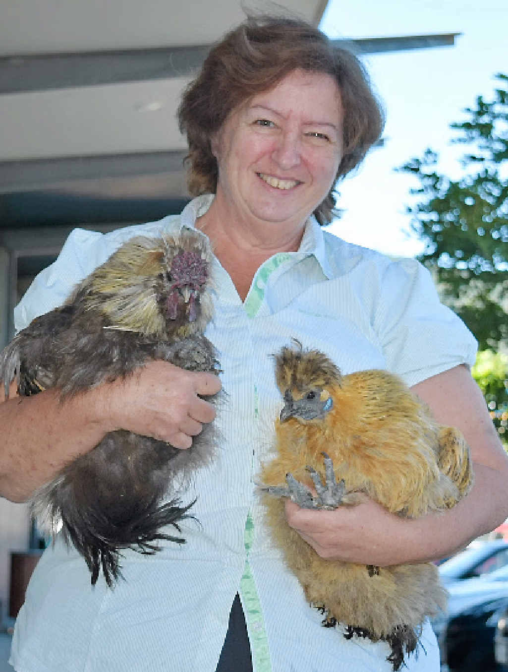 CHAMP CHOOKS: Karen Morrison with her rooster and hen, ’50 per cent the gangster chook’, which claimed Champion Any Other Colour Pekin Bantam. CHAMP CHOOKS: Karen Morrison with her rooster and hen, ’50 per cent the gangster chook’, which claimed Champion Any Other Colour Pekin Bantam.