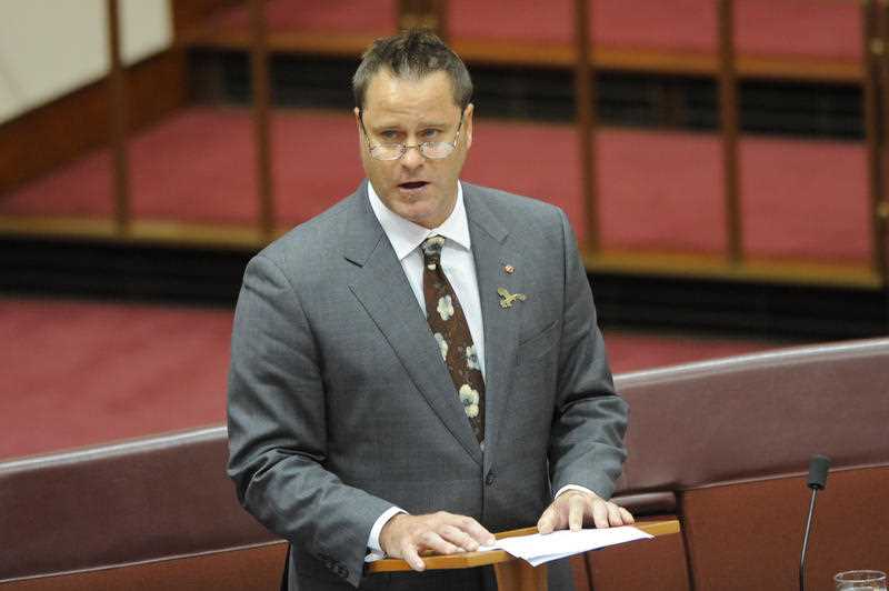 Greens trade spokesperson Peter Whish-Wilson Greens trade spokesperson Peter Whish-Wilson