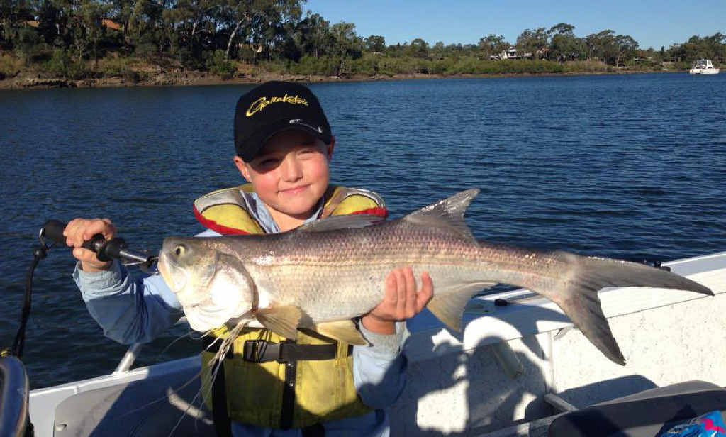 CROWNING ACHIEVEMENT: Hamish Allen, 7, landed this 75cm threadfin salmon, or king salmon, in the Boyne River. CROWNING ACHIEVEMENT: Hamish Allen, 7, landed this 75cm threadfin salmon, or king salmon, in the Boyne River.