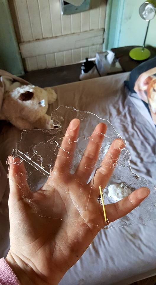 Mount Morgan resident Brooke Morgan went to check on her animals this morning and found the calves' water frozen over.