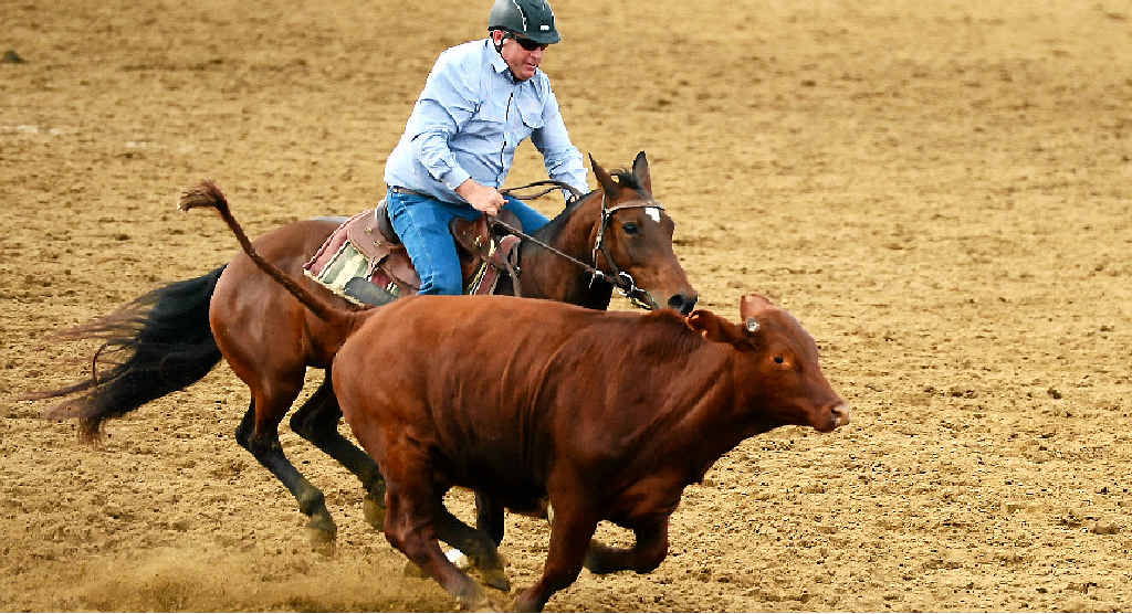 ICONIC EVENT: The annual Paradise Lagoons Campdraft will be held from today until Sunday with a number of events and competitions happening over the five days. Blair Angus is a regular competitor at the campdraft and is looking forward to this year’s event. ICONIC EVENT: The annual Paradise Lagoons Campdraft will be held from today until Sunday with a number of events and competitions happening over the five days. Blair Angus is a regular competitor at the campdraft and is looking forward to this year’s event.
