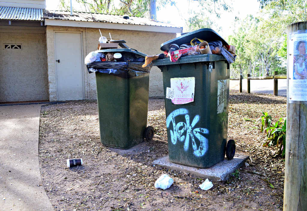 TRASH TALK: The bins at Apple Tree Creek rest stop are overflowing with trash, despite twice-weekly collections. TRASH TALK: The bins at Apple Tree Creek rest stop are overflowing with trash, despite twice-weekly collections.