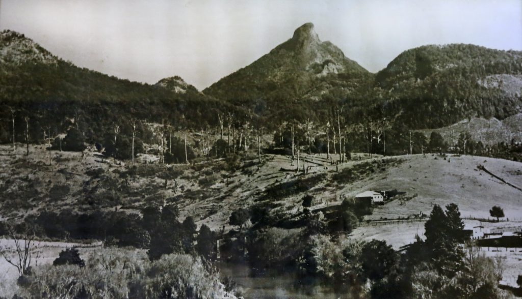 The area around Mt Warning, near Uki, in the 1920s. The area around Mt Warning, near Uki, in the 1920s.