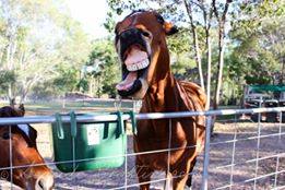 YOUR SAY: What's the best caption for this photo?