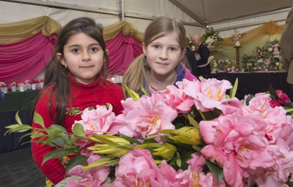 Caitlin, 5, and Arianne Farhadi, 9, from Highfields at the 2015 TOOWOOMBA HOSPICE CAMELLIA & WINTER FLOWER SHOW. Saturday, Jul 18, 2015 . Photo Nev Madsen / The Chronicle Caitlin, 5, and Arianne Farhadi, 9, from Highfields at the 2015 TOOWOOMBA HOSPICE CAMELLIA & WINTER FLOWER SHOW. Saturday, Jul 18, 2015 . Photo Nev Madsen / The Chronicle