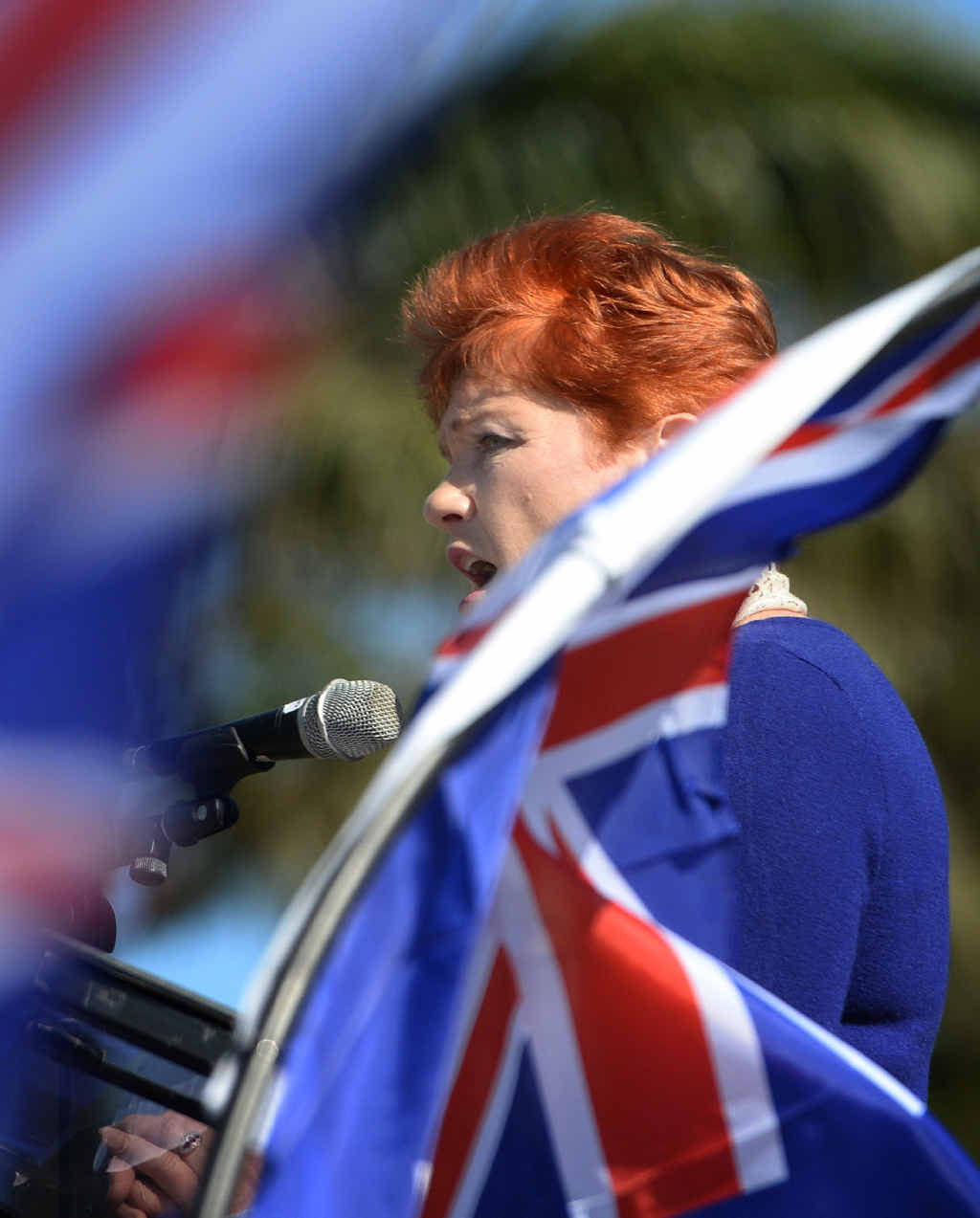 CENTRE STAGE: Pauline Hanson addresses the crowd at the Reclaim Australia Rally in Rockhampton. CENTRE STAGE: Pauline Hanson addresses the crowd at the Reclaim Australia Rally in Rockhampton.