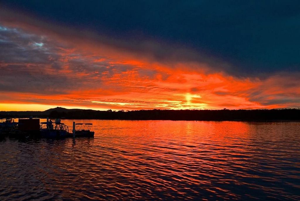 There's still koalas to see in Noosa and an fantastic sunset view at the end. Sylvia Wallis