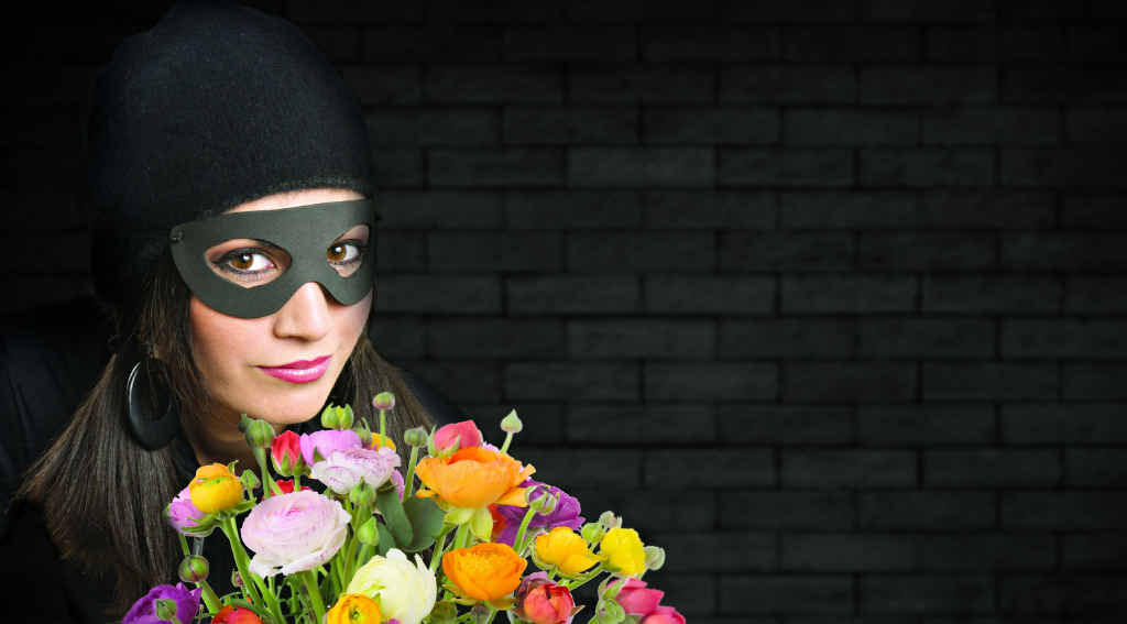 Who is the mysterious Bouquet Bandit?
Who is the mysterious Bouquet Bandit?