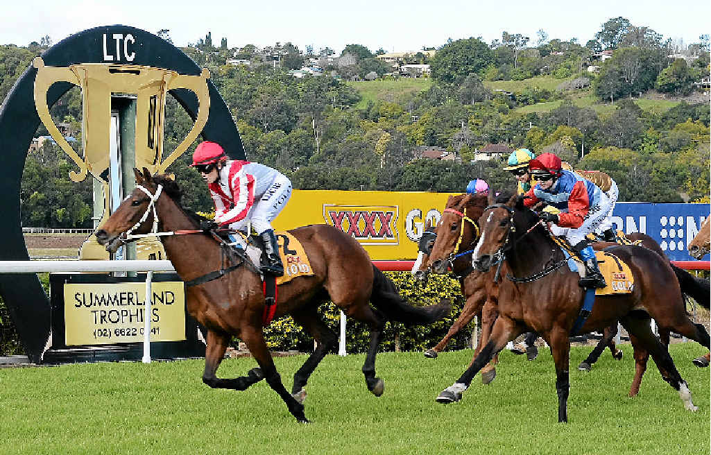 LISMORE WINNER: Stitchery, ridden by Samantha Polo, takes out the Maiden Hcp (1300m), the second race at the Lismore Turf Club TAB meeting on Saturday. The three-year-old filly won by a length. LEFT: Stitchery being paraded before the race. LISMORE WINNER: Stitchery, ridden by Samantha Polo, takes out the Maiden Hcp (1300m), the second race at the Lismore Turf Club TAB meeting on Saturday. The three-year-old filly won by a length. LEFT: Stitchery being paraded before the race.