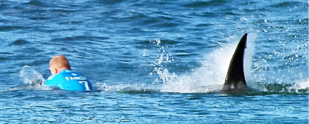 CLOSE CALL: This screen grab released by the World Surf League shows Australian surfer Mick Fanning being attacked by a shark. TOP: Rebecca Gallehawk’s shark shot. CLOSE CALL: This screen grab released by the World Surf League shows Australian surfer Mick Fanning being attacked by a shark. TOP: Rebecca Gallehawk’s shark shot.