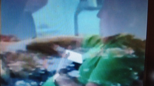 Channel 7 footage shows Clive Palmer driving while holding a mobile device. Photo: Supplied
Channel 7 footage shows Clive Palmer driving while holding a mobile device. Photo: Supplied
