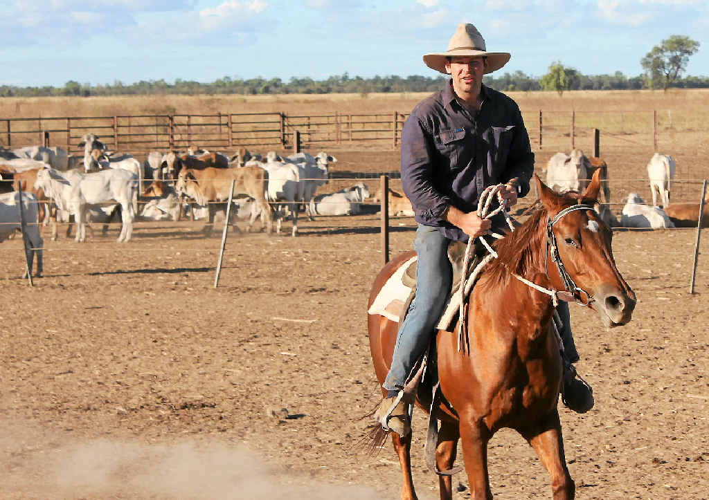 MOVING FORWARD: Matthew Canavan says a new agreement relating to trade between China and Australia is fantastic news for Central Queensland producers. MOVING FORWARD: Matthew Canavan says a new agreement relating to trade between China and Australia is fantastic news for Central Queensland producers.