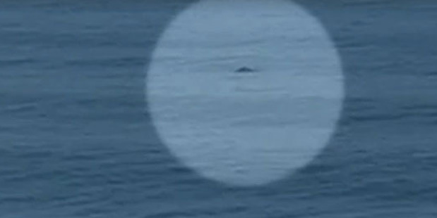 The dark shape spotted hours before the shark attack on Mick Fanning. The dark shape spotted hours before the shark attack on Mick Fanning.