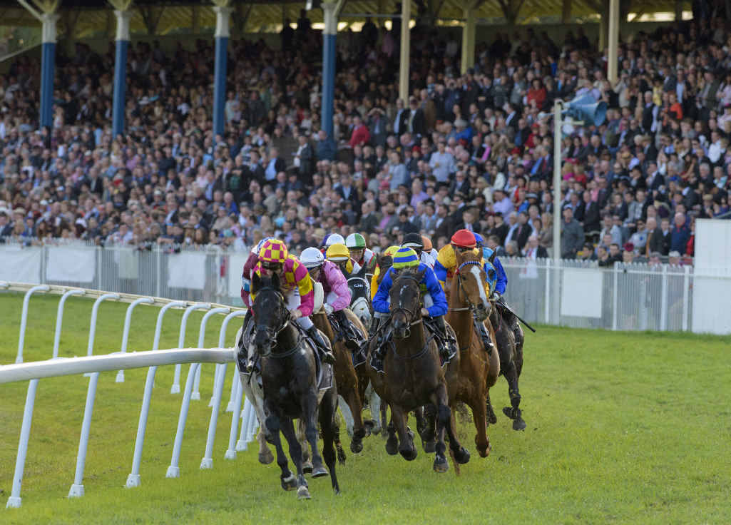 FAVOURITE: A packed grandstand watches Blake Shinn take Bonfire to Grafton Cup victory. Photo: Adam Hourigan FAVOURITE: A packed grandstand watches Blake Shinn take Bonfire to Grafton Cup victory. Photo: Adam Hourigan