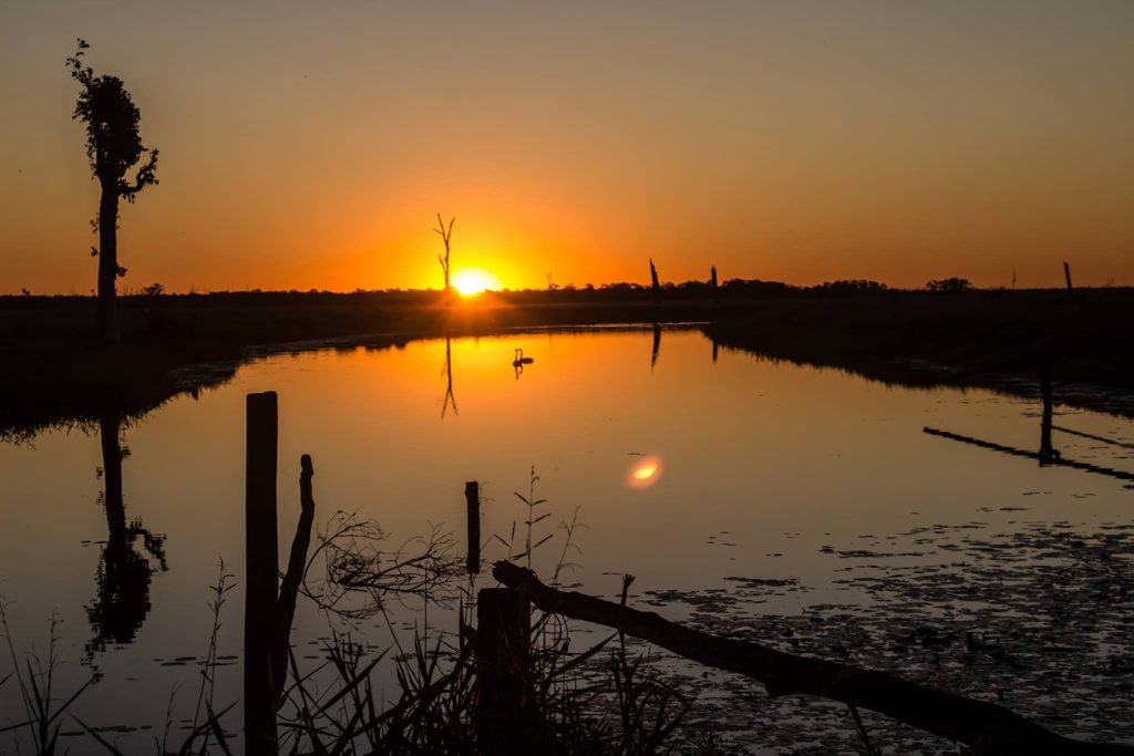Malcolm Wells - Sunset at Hedlow Creek.