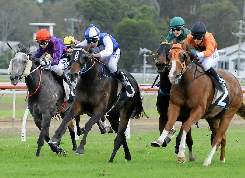ON THE TROT: Moonlight Dancer (blue and white) leads in the straight before winning race three at Bundamba on last month. ON THE TROT: Moonlight Dancer (blue and white) leads in the straight before winning race three at Bundamba on last month.