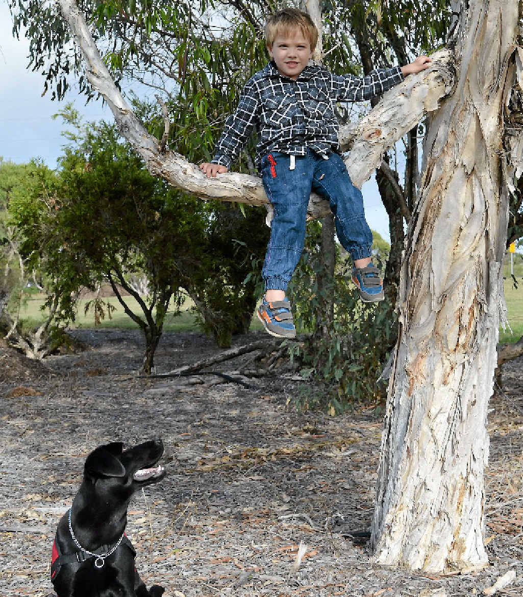 IT’S A JOURNEY: Chase Standley pictured with his assistance pup Shadow.
