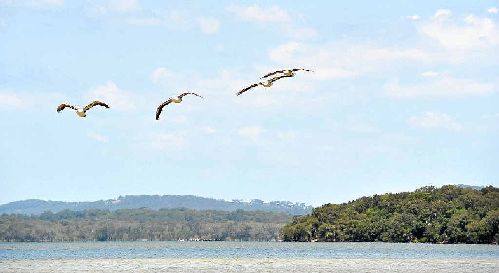 SMOOTHER WATERS: Noosa Council is hoping the Lake Weyba battle is receding. SMOOTHER WATERS: Noosa Council is hoping the Lake Weyba battle is receding.