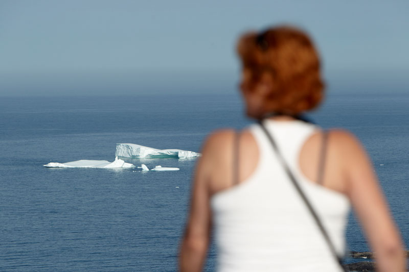 iceberg alley iceberg alley