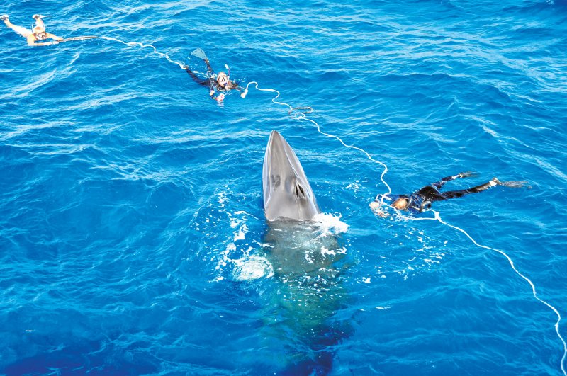 Queensland bucket list experiences Queensland bucket list experiences