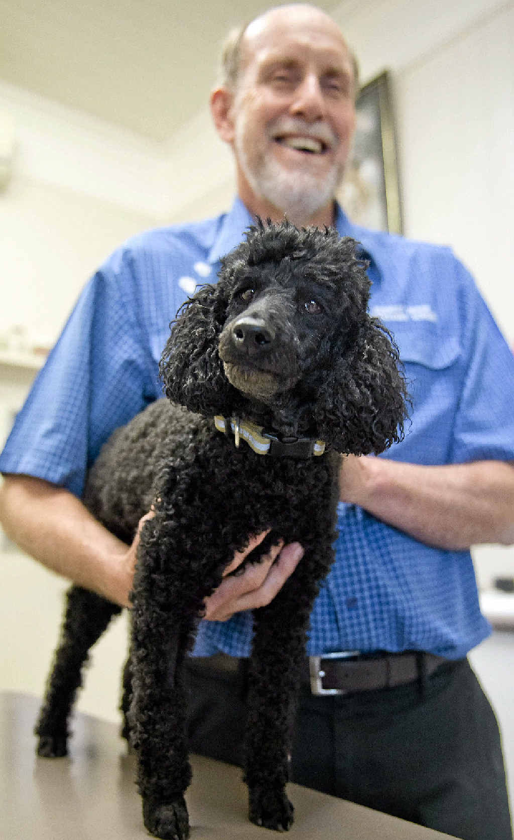 WHAT’S ALL THE FUSS: Herriot House Veterinary Surgery vet Peter Noble talks about ways to stop your dogs from barking. WHAT’S ALL THE FUSS: Herriot House Veterinary Surgery vet Peter Noble talks about ways to stop your dogs from barking.