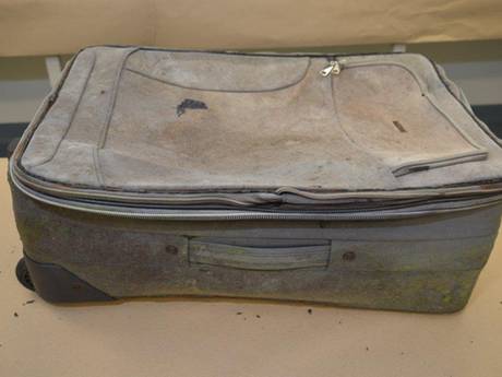 The suitcase that a child's remains were found in on a motorway in South Australia. The suitcase that a child's remains were found in on a motorway in South Australia.