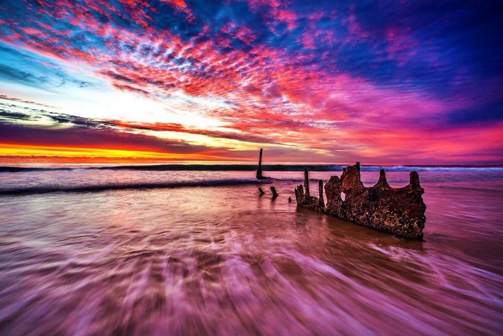 Showing off all its colour photographer Justin Fitzgibbon takes one last photo of the Showing off all its colour photographer Justin Fitzgibbon takes one last photo of the