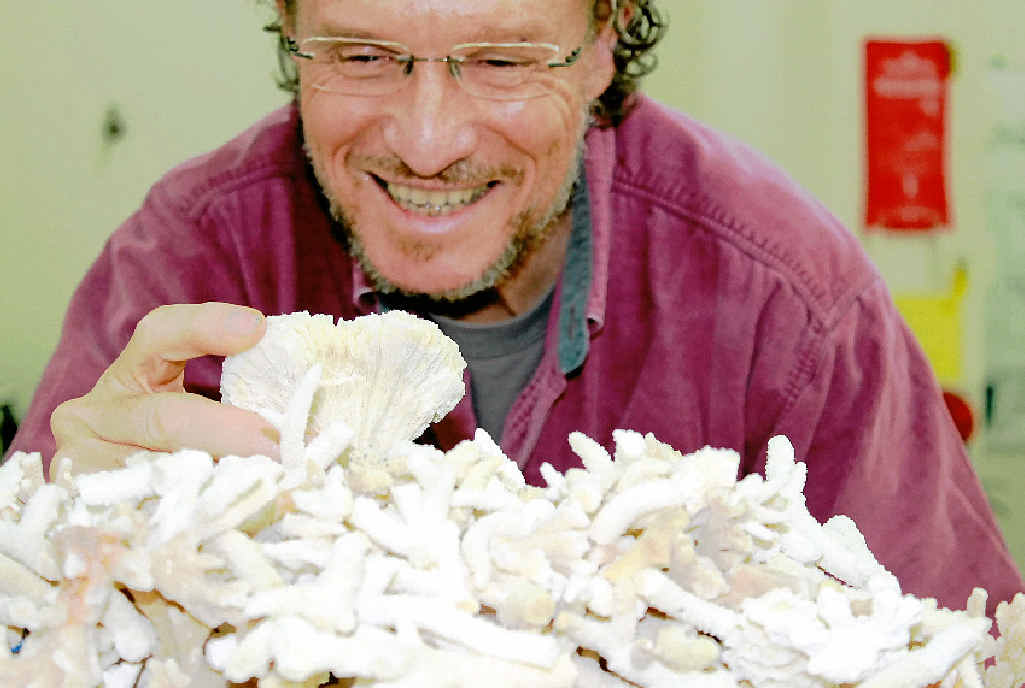 GRAND PLAN: Professor Peter Harrison, director of SCU’s Marine Ecology Research Centre, has spent years studying how to restore reefs to their former glory. GRAND PLAN: Professor Peter Harrison, director of SCU’s Marine Ecology Research Centre, has spent years studying how to restore reefs to their former glory.