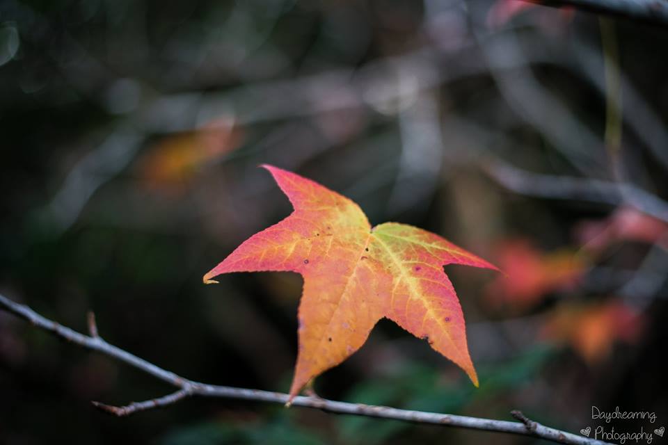 The days are getting shorter, and cooler. The days are getting shorter, and cooler.